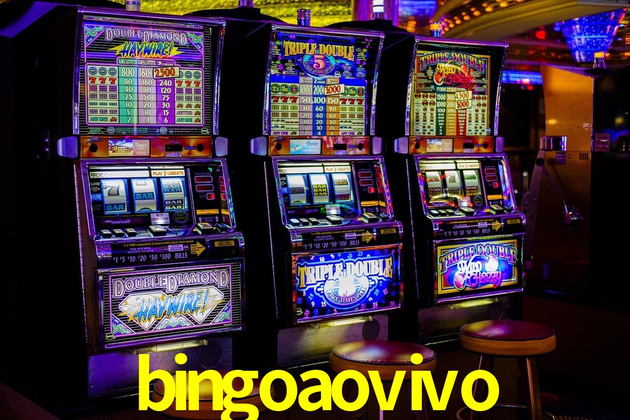 Experiência VIP bingoaovivo