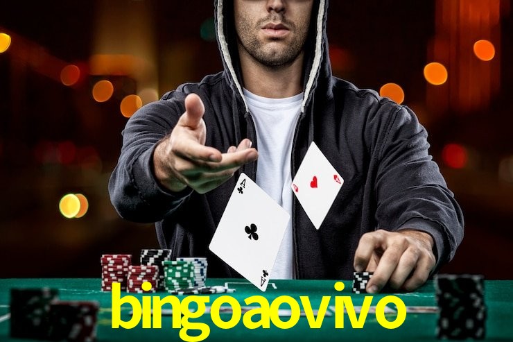 bingoaovivo.com