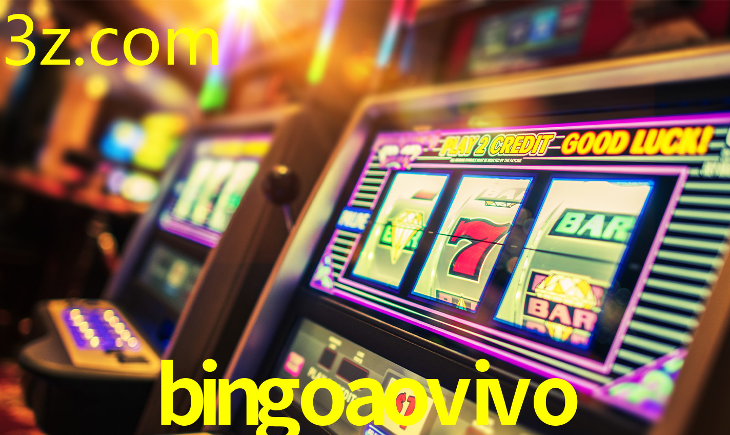 BINGOAOVIVO.COM