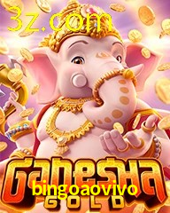 BINGOAOVIVO.COM